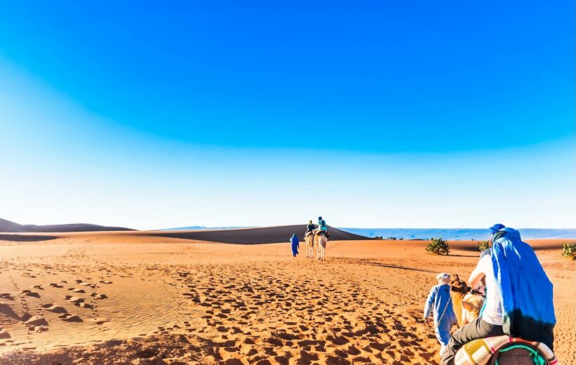 Vie nomade du Sahara, randonnée à dos de chameau